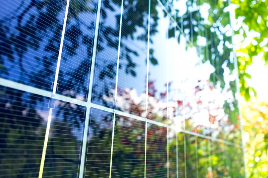 Solar Panels Reflecting Plants